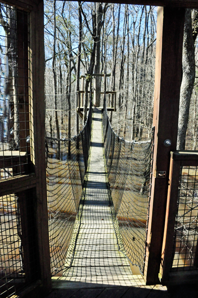 tree-top canopy walk